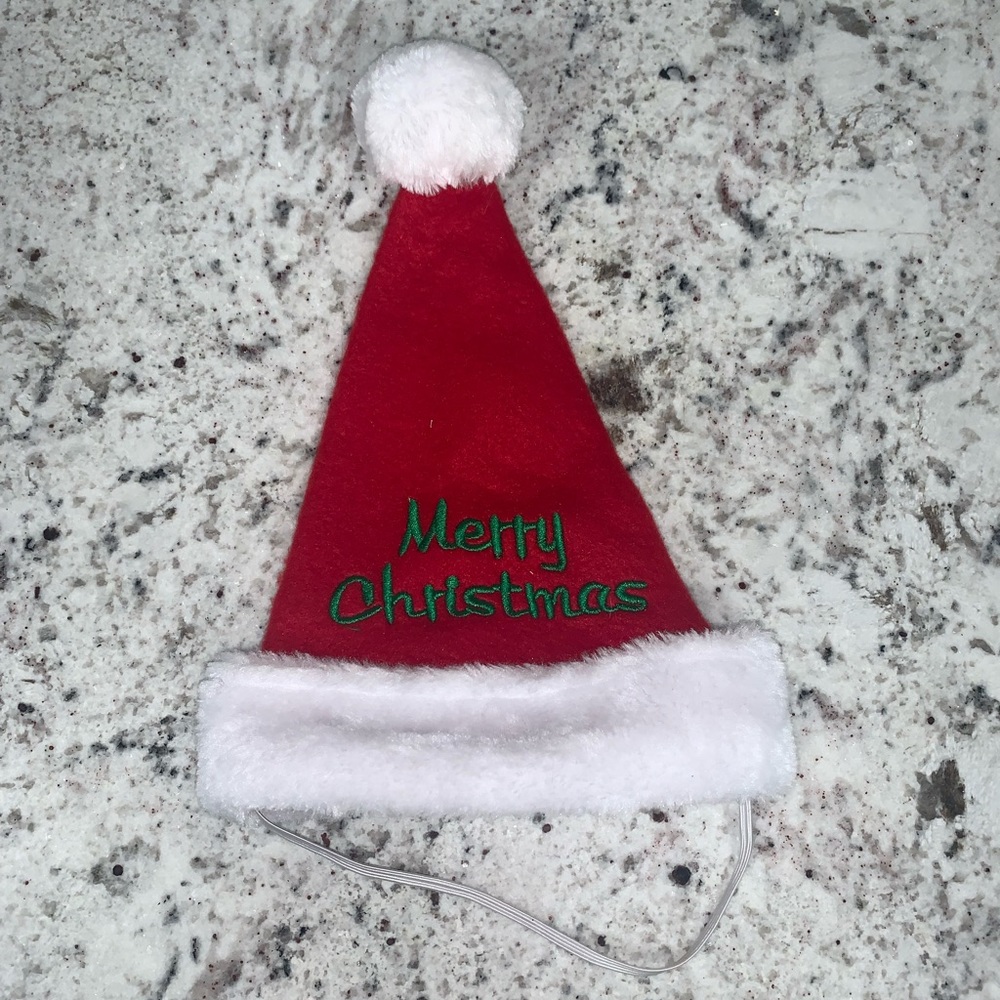 Santa hat for dogs